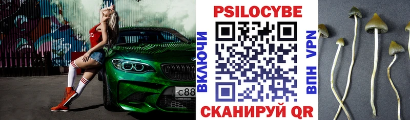 кракен как войти Светлый Псилоцибиновые грибы MAGIC MUSHROOMS